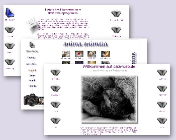 Screenshot Cats-Web