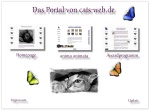 Screenshot Cats-Web